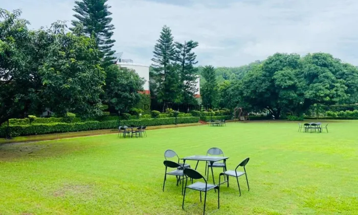 Wood Castle Spa  Resort